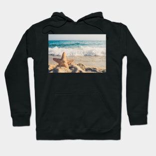 Starfish by the Sea Hoodie